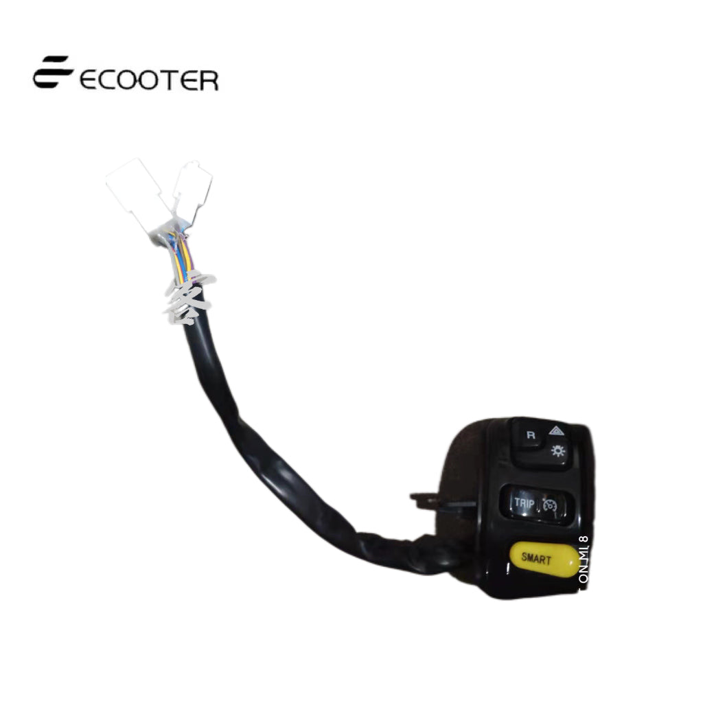 Ecooter e1/e2 combination switch assembly