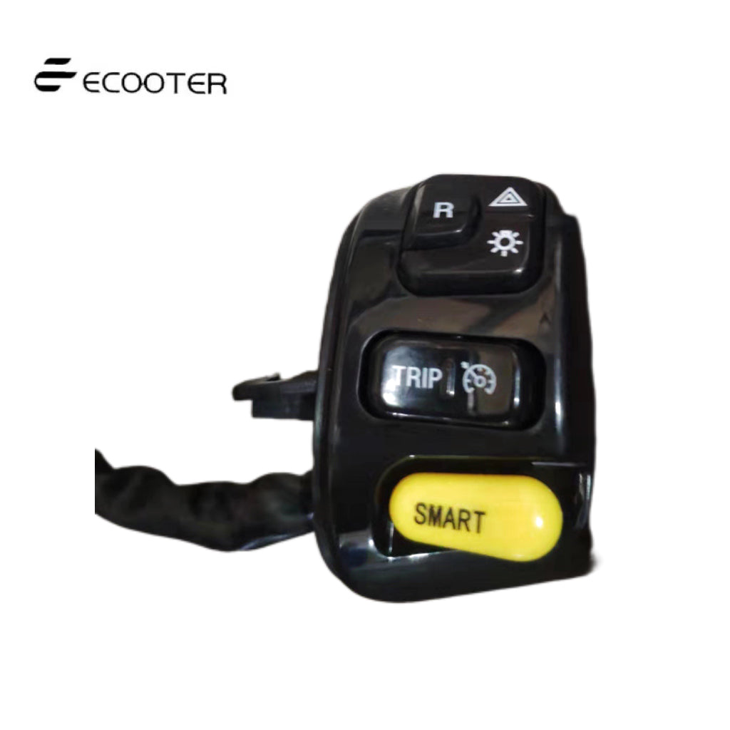 Ecooter e1/e2 combination switch assembly