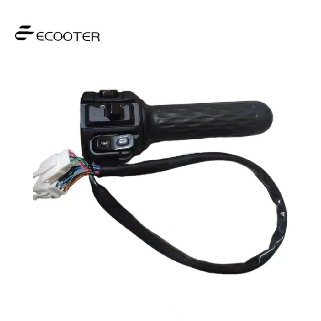 Ecooter e2Max combination switch